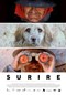 Suriré