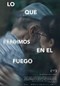 Lo que perdimos en el fuego