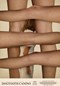 Dogtooth: Canino