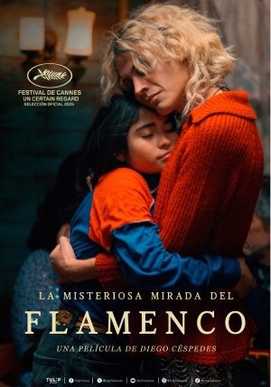 La misteriosa mirada del flamenco