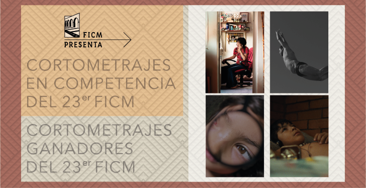 Cortometrajes del 23° FICM