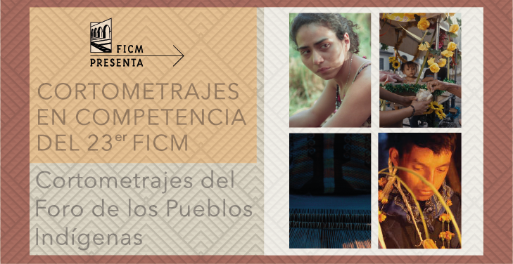 Cortometrajes del foro de los pueblos indígenas