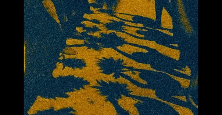 La memoria de las mariposas