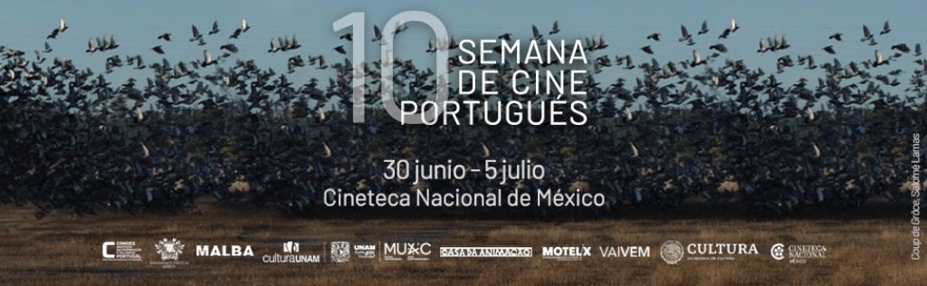 Conversatorio con Salomé Lamas