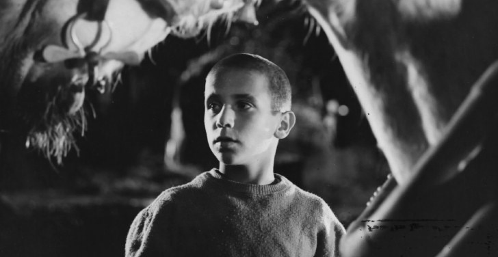 Crónica de un niño solo